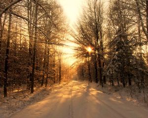 Preview wallpaper road, wood, winter, snow, trees, sunlight, beams, shades