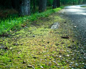 Preview wallpaper roadside, road, edge, moss, asphalt, grass