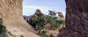 Preview wallpaper rock, arch, tree, nature, view