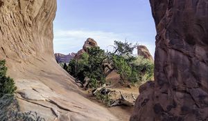 Preview wallpaper rock, arch, tree, nature, view