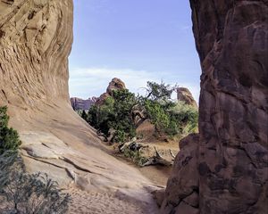 Preview wallpaper rock, arch, tree, nature, view