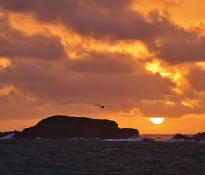 Preview wallpaper rock, bird, sea, sunset, nature