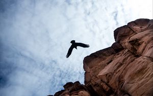 Preview wallpaper rock, bird, sky, clouds