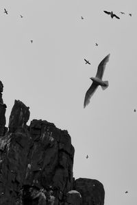 Preview wallpaper rock, birds, flight, sky, nature