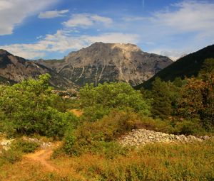 Preview wallpaper rock, bushes, grass, peak, sky