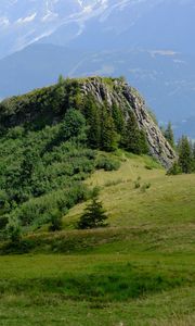 Preview wallpaper rock, bushes, trees, grass, mountains, fog