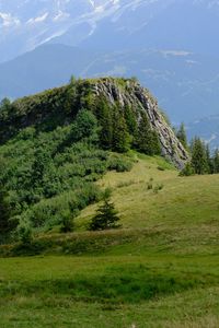 Preview wallpaper rock, bushes, trees, grass, mountains, fog