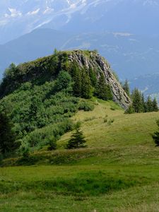 Preview wallpaper rock, bushes, trees, grass, mountains, fog
