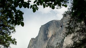 Preview wallpaper rock, cliff, branches, trees, slope