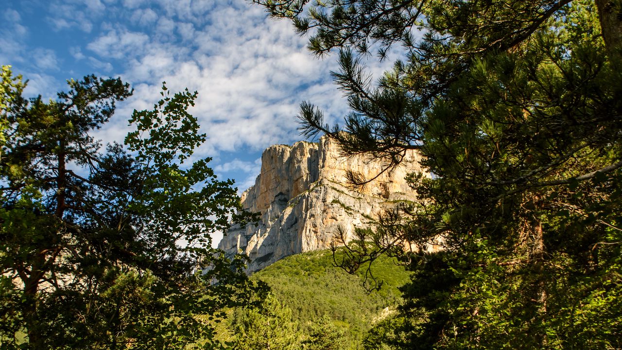 Wallpaper rock, cliff, path, forest