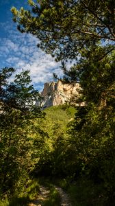 Preview wallpaper rock, cliff, path, forest