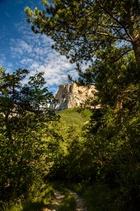 Preview wallpaper rock, cliff, path, forest