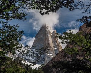 Preview wallpaper rock, cliff, steep, high, cloud, branches, trees