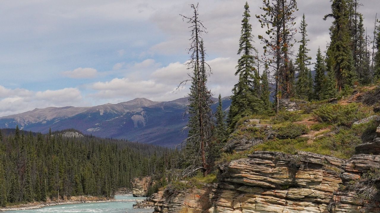 Wallpaper rock, cliff, trees, river, landscape, nature