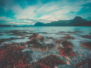 Preview wallpaper rock, coast, sky, norway