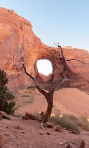 Preview wallpaper rock, desert, trees, stones, sand