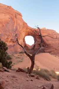 Preview wallpaper rock, desert, trees, stones, sand