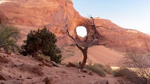 Preview wallpaper rock, desert, trees, stones, sand