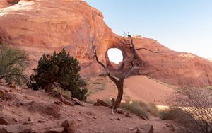 Preview wallpaper rock, desert, trees, stones, sand