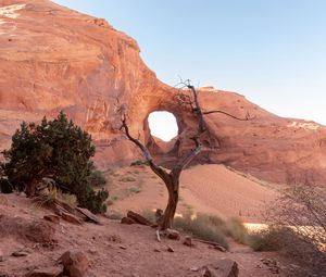 Preview wallpaper rock, desert, trees, stones, sand