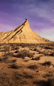 Preview wallpaper rock, desert, vegetation, rock formations, bardenas reales, spain