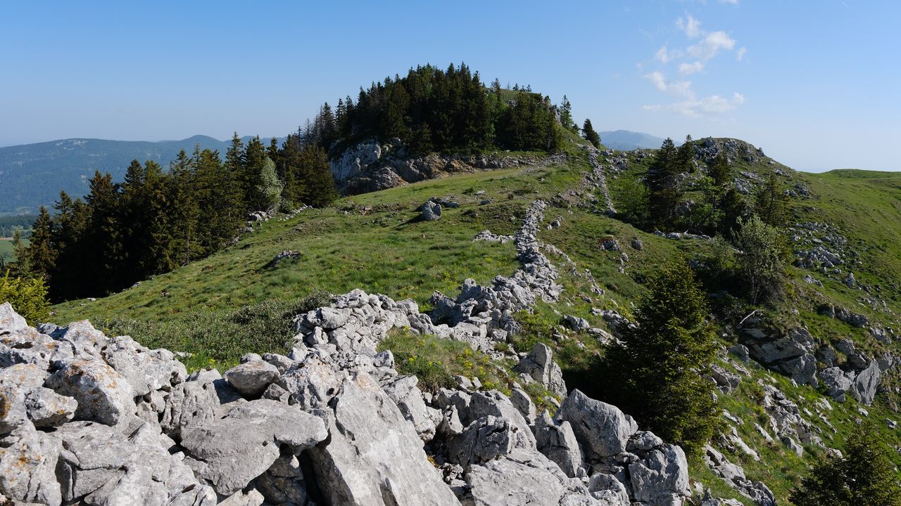 Wallpaper rock, forest, meadow, nature, mountains, sky, colorful