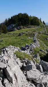 Preview wallpaper rock, forest, meadow, nature, mountains, sky