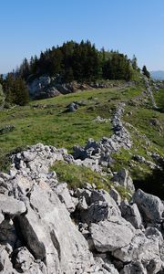 Preview wallpaper rock, forest, meadow, nature, mountains, sky