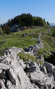 Preview wallpaper rock, forest, meadow, nature, mountains, sky, colorful