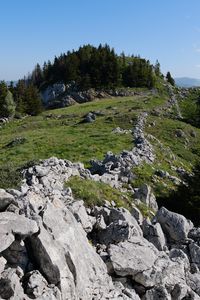 Preview wallpaper rock, forest, meadow, nature, mountains, sky, colorful