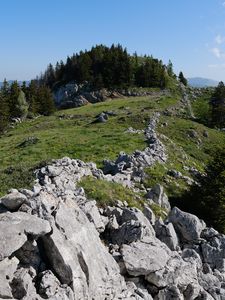 Preview wallpaper rock, forest, meadow, nature, mountains, sky, colorful