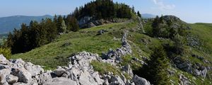 Preview wallpaper rock, forest, meadow, nature, mountains, sky