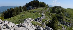 Preview wallpaper rock, forest, meadow, nature, mountains, sky, colorful