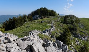 Preview wallpaper rock, forest, meadow, nature, mountains, sky