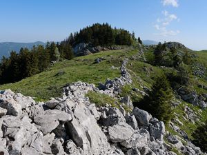 Preview wallpaper rock, forest, meadow, nature, mountains, sky