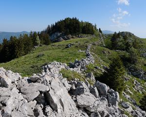 Preview wallpaper rock, forest, meadow, nature, mountains, sky