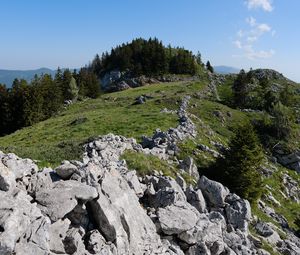 Preview wallpaper rock, forest, meadow, nature, mountains, sky