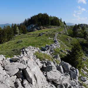 Preview wallpaper rock, forest, meadow, nature, mountains, sky