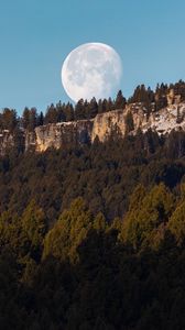 Preview wallpaper rock, forest, moon, full moon, landscape, nature