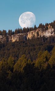 Preview wallpaper rock, forest, moon, full moon, landscape, nature