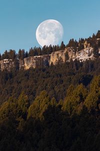 Preview wallpaper rock, forest, moon, full moon, landscape, nature