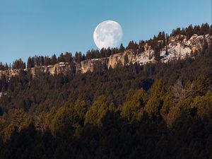 Preview wallpaper rock, forest, moon, full moon, landscape, nature