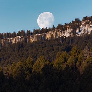 Preview wallpaper rock, forest, moon, full moon, landscape, nature