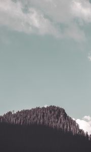 Preview wallpaper rock, forest, trees, shadow, moon, landscape