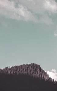 Preview wallpaper rock, forest, trees, shadow, moon, landscape