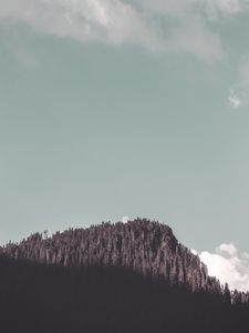 Preview wallpaper rock, forest, trees, shadow, moon, landscape