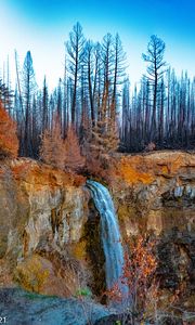 Preview wallpaper rock, forest, trees, waterfall, nature