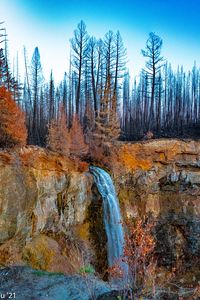 Preview wallpaper rock, forest, trees, waterfall, nature