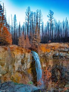 Preview wallpaper rock, forest, trees, waterfall, nature