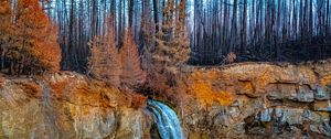 Preview wallpaper rock, forest, trees, waterfall, nature